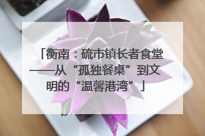 衡南：硫市镇长者食堂——从“孤独餐桌”到文明的“温馨港湾”