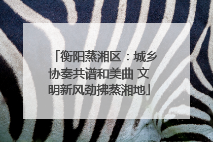 衡阳蒸湘区：城乡协奏共谱和美曲 文明新风劲拂蒸湘地
