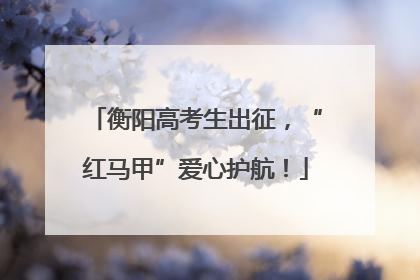 衡阳高考生出征，“红马甲”爱心护航！