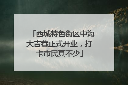 西城特色街区中海大吉巷正式开业，打卡市民真不少