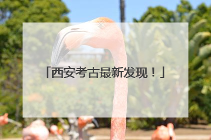 西安考古最新发现！