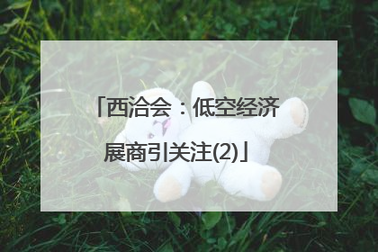 西洽会：低空经济展商引关注(2)