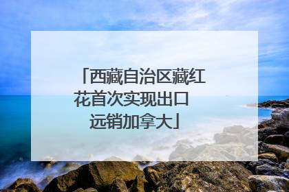 西藏自治区藏红花首次实现出口 远销加拿大