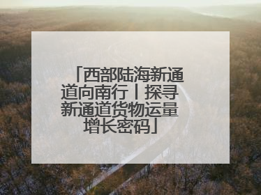 西部陆海新通道向南行丨探寻新通道货物运量增长密码