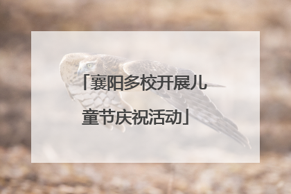 襄阳多校开展儿童节庆祝活动
