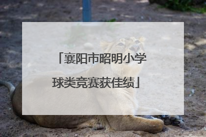 襄阳市昭明小学球类竞赛获佳绩