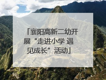 襄阳高新二幼开展“走进小学 遇见成长”活动
