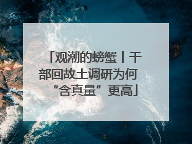 观潮的螃蟹丨干部回故土调研为何“含真量”更高