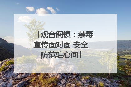 观音阁镇：禁毒宣传面对面 安全防范驻心间