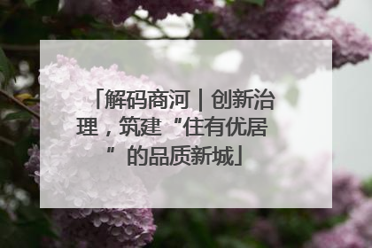 解码商河｜创新治理，筑建“住有优居”的品质新城