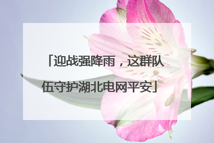 迎战强降雨，这群队伍守护湖北电网平安
