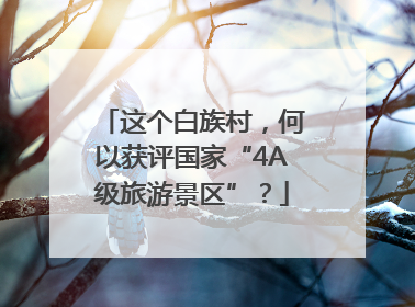 这个白族村，何以获评国家“4A级旅游景区”？