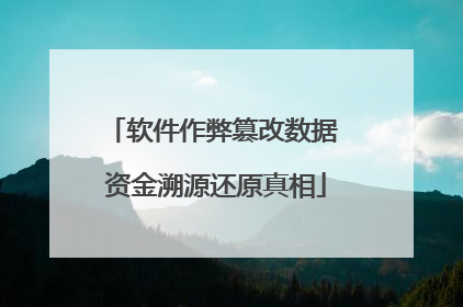 软件作弊篡改数据 资金溯源还原真相
