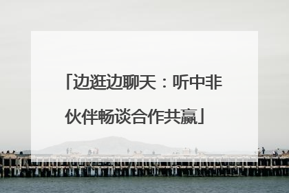 边逛边聊天：听中非伙伴畅谈合作共赢