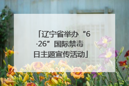 辽宁省举办“6·26”国际禁毒日主题宣传活动
