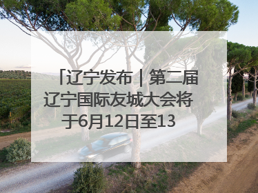 辽宁发布｜第二届辽宁国际友城大会将于6月12日至13日在沈阳举办