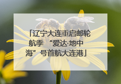辽宁大连重启邮轮航季 “爱达·地中海”号首航大连港