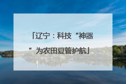 辽宁：科技“神器”为农田夏管护航