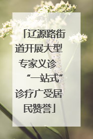 辽源路街道开展大型专家义诊 “一站式”诊疗广受居民赞誉
