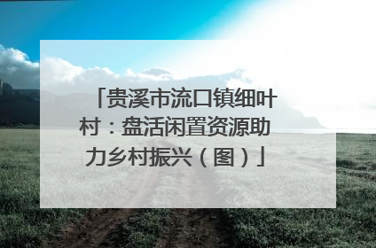 贵溪市流口镇细叶村：盘活闲置资源助力乡村振兴（图）