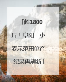 超1800斤！阜阳一小麦示范田单产纪录再刷新