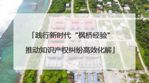 践行新时代“枫桥经验” 推动知识产权纠纷高效化解