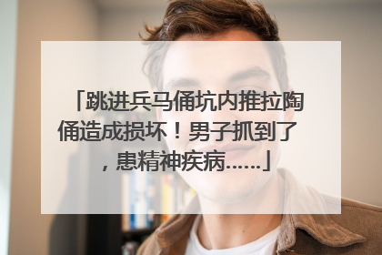 跳进兵马俑坑内推拉陶俑造成损坏！男子抓到了，患精神疾病……