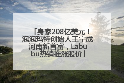 身家208亿美元！泡泡玛特创始人王宁成河南新首富，Labubu热销推涨股价