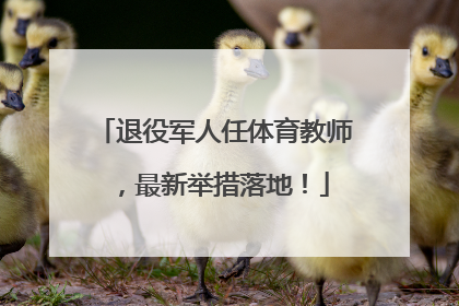 退役军人任体育教师，最新举措落地！
