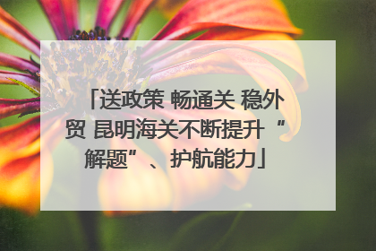 送政策 畅通关 稳外贸 昆明海关不断提升“解题”、护航能力