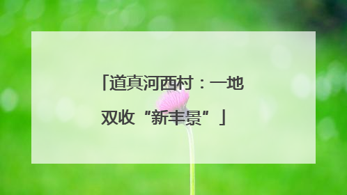道真河西村：一地双收“新丰景”