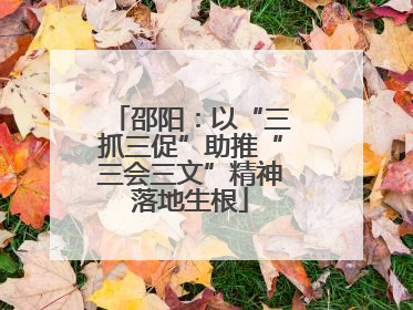 邵阳：以“三抓三促”助推“三会三文”精神落地生根