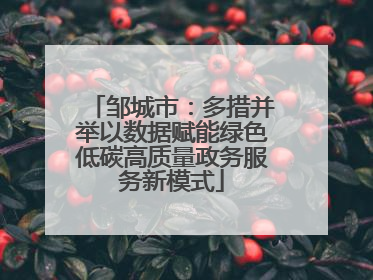 邹城市：多措并举以数据赋能绿色低碳高质量政务服务新模式