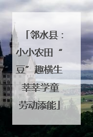 邻水县：小小农田“豆”趣横生 莘莘学童劳动添能