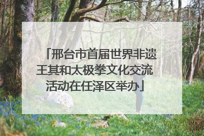 邢台市首届世界非遗王其和太极拳文化交流活动在任泽区举办