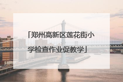 郑州高新区莲花街小学检查作业促教学