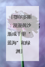 鄂尔多斯：漫漫黄沙渐成千里“蓝海”和绿洲