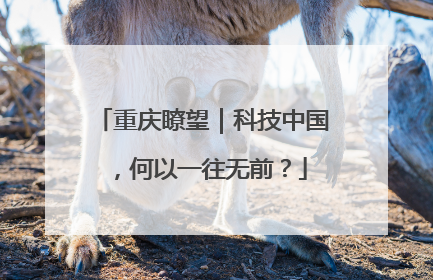 重庆瞭望｜科技中国，何以一往无前？