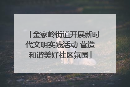 金家岭街道开展新时代文明实践活动 营造和谐美好社区氛围