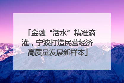 金融“活水”精准滴灌，宁波打造民营经济高质量发展新样本