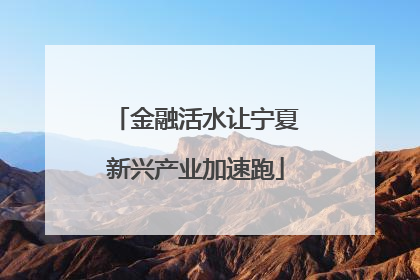 金融活水让宁夏新兴产业加速跑