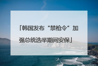 韩国发布“禁枪令”加强总统选举期间安保