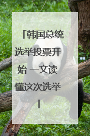 韩国总统选举投票开始 一文读懂这次选举