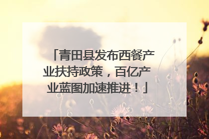 青田县发布西餐产业扶持政策，百亿产业蓝图加速推进！