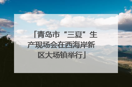 青岛市“三夏”生产现场会在西海岸新区大场镇举行