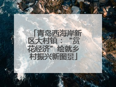 青岛西海岸新区大村镇：“赏花经济”绘就乡村振兴新图景