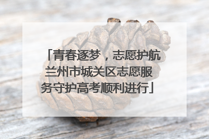 青春逐梦，志愿护航 兰州市城关区志愿服务守护高考顺利进行