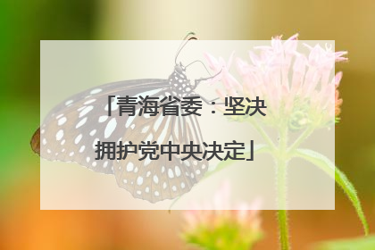 青海省委：坚决拥护党中央决定