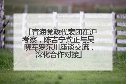 青海党政代表团在沪考察，陈吉宁龚正与吴晓军罗东川座谈交流，深化合作对接