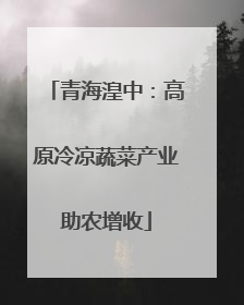 青海湟中：高原冷凉蔬菜产业助农增收
